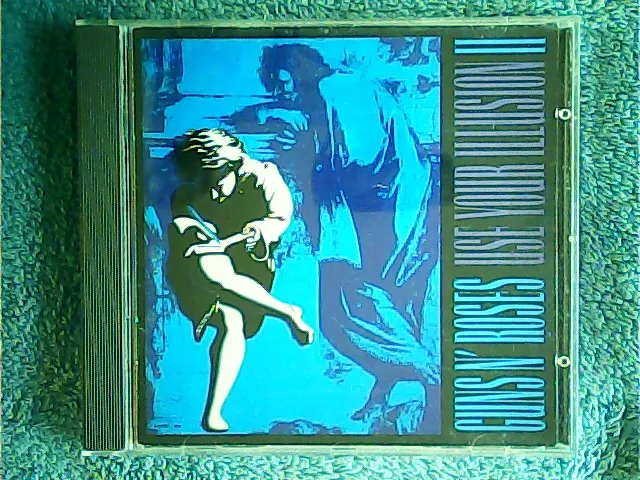 [MC-009058] Guns N' Roses - Use Your Illusion II