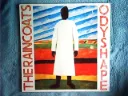 Raincoats - Odyshape