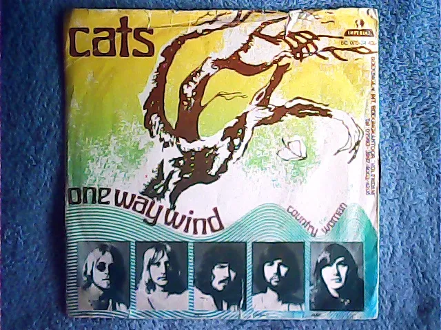 [MV-009795] Cats - One Way Wind