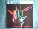 F.R. David - Words