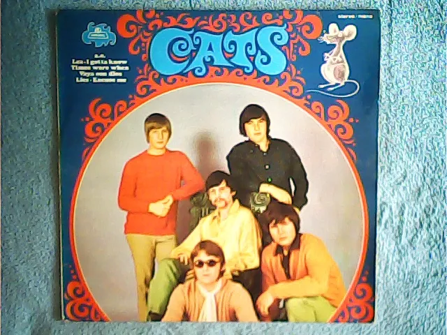 The Cats - Cats