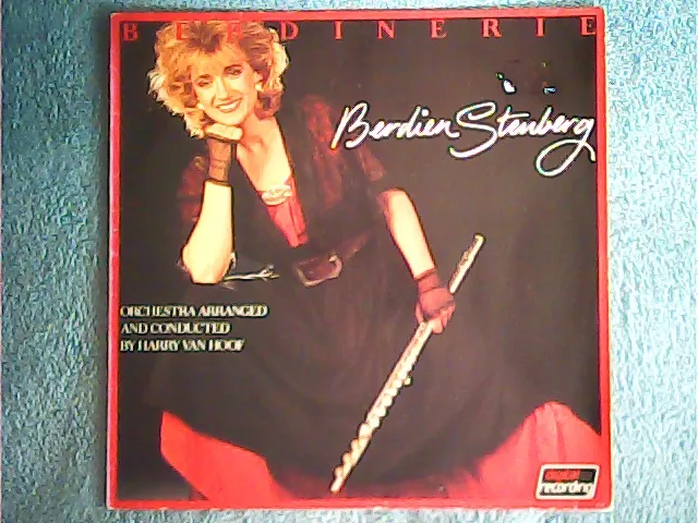 Berdien Stenberg - Berdinerie