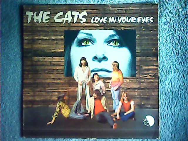 The Cats - Love In Your Eyes